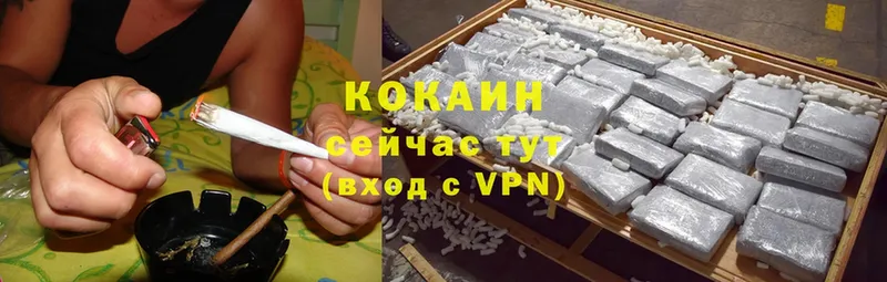 hydra как войти  где купить наркотик  Богородицк  Cocaine 99% 